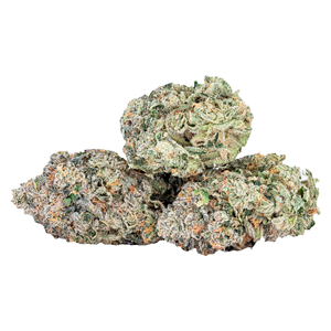 Sixty Seven Sins - EXPO67 - Cap Jnky - 3.5g