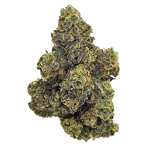 Unit 15 - Purple Octane - Indica - 7g