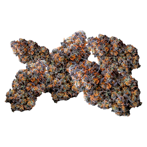 Your Highness - Tropical Pressure - Hybrid - 3.5g