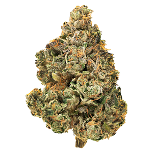 1964 - Stinky Pinky - Indica - 1g