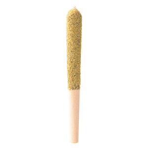 Tenzo - Pineapple ZKTLZ Double Hash Infused Pre-Roll - Sativa - 1x0.5g
