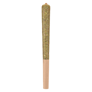 Woody Nelson - Rocketeer Infused Pre-Roll - Hybrid - 1x1g