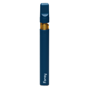 Foray - Blackberry Cream Disposable Pen - 0.3g