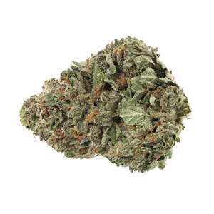 Homestead - Bandwagon Hybrid - Lemon Pound Cake - 28g