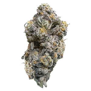 HighXotic - Royal Dive#3: Hindu Glue - Indica - 14g